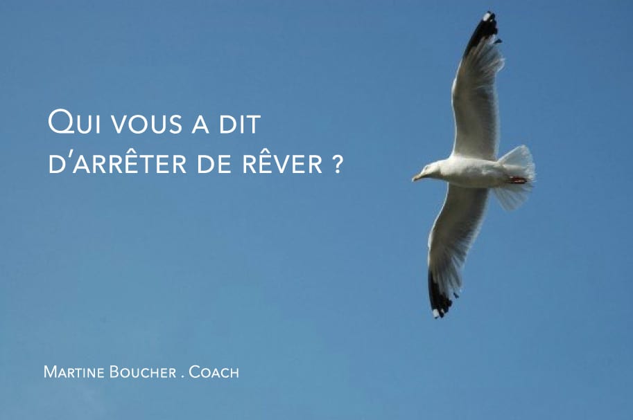 mouette2